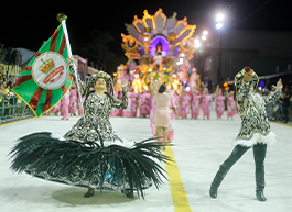 Os Protegidos da Princesa