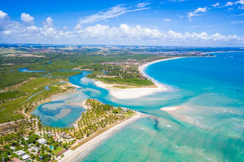 Vista aérea de uma praia com águas azuis em meio a vegetação local