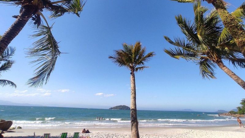 Praia tranquila com coqueiros na areia 