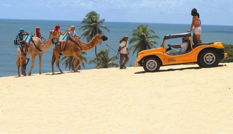 Imagem de turistas passeando de dromedário e buggy em uma praia