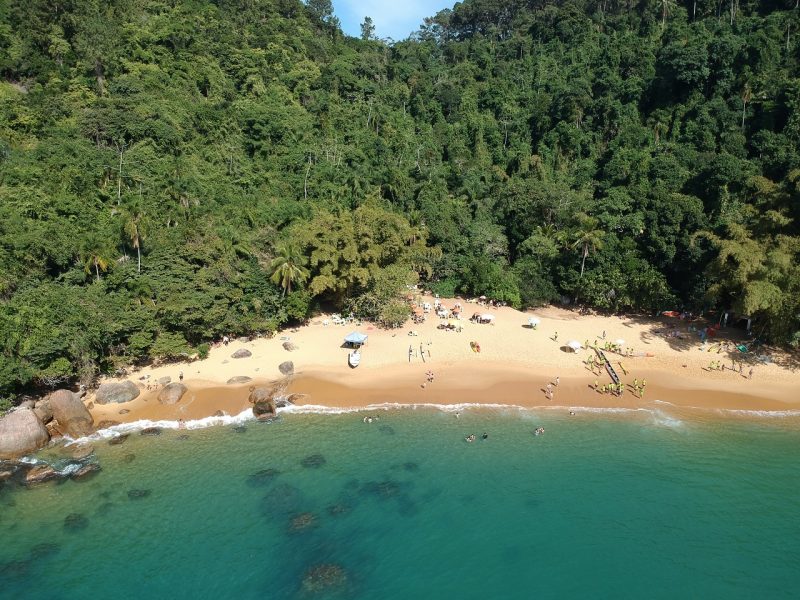 Praia isolada com águas cristalinas cercada de muitas árvores 