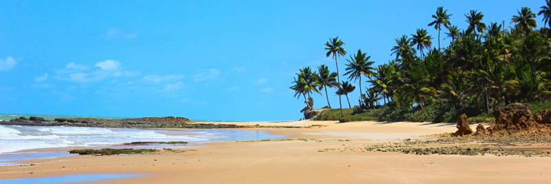 Imagem da praia de coqueirinhos