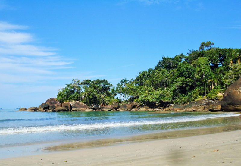 Imagem de uma praia calma cercada por vegetação e pedras 