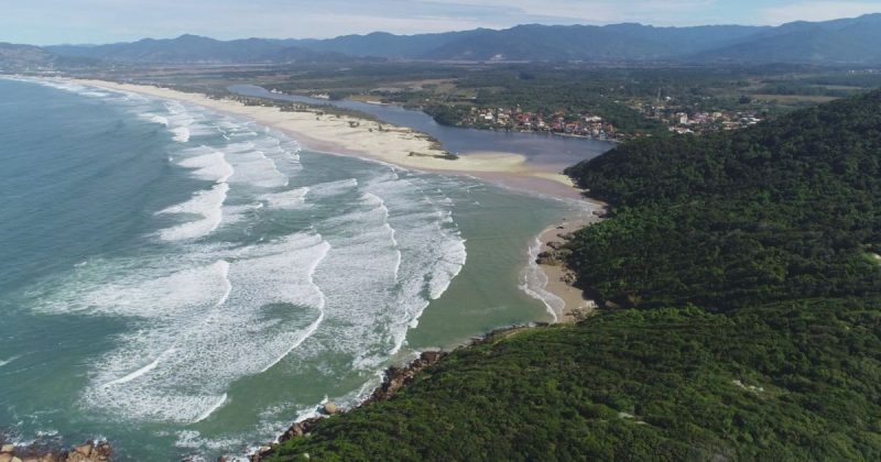 Durante o verão, o monitoramento é feito semanalmente para identificar as praias próprias para banho em SC