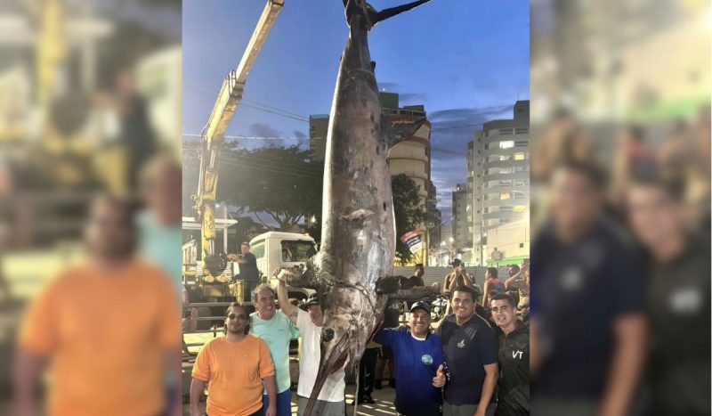 Peixe gigante da espécie Meca, conhecido como Espadarte, foi pescado pela equipe de pesca Blue Label em Guarapari, no Espírito Santo