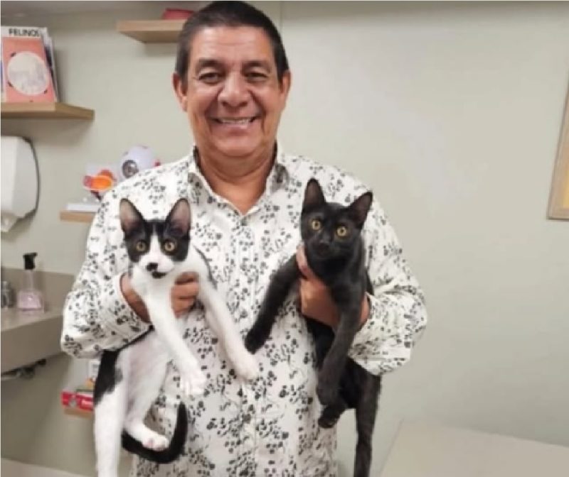 Zeca Pagodinho nos stories segurando os dois gatos adotados