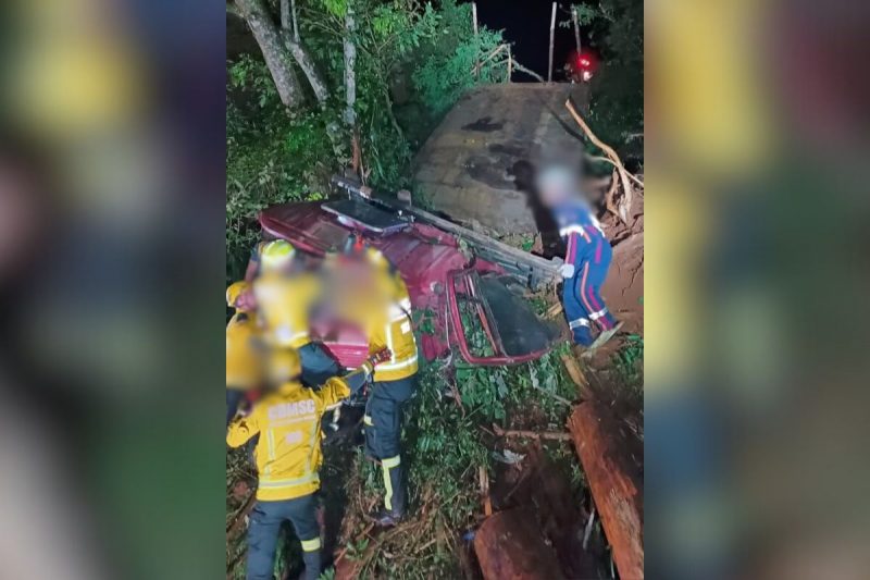 Caminhão saiu da pista e desceu uma ribanceira em Arvoredo