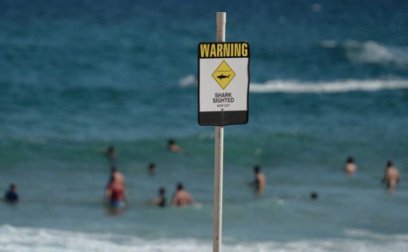 Placa de aviso de ataque de tubarão em praia da Austrália