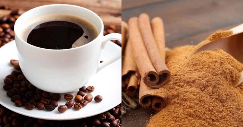 na foto aparecem café e canela como especiaria que auxilia na saúde do corpo