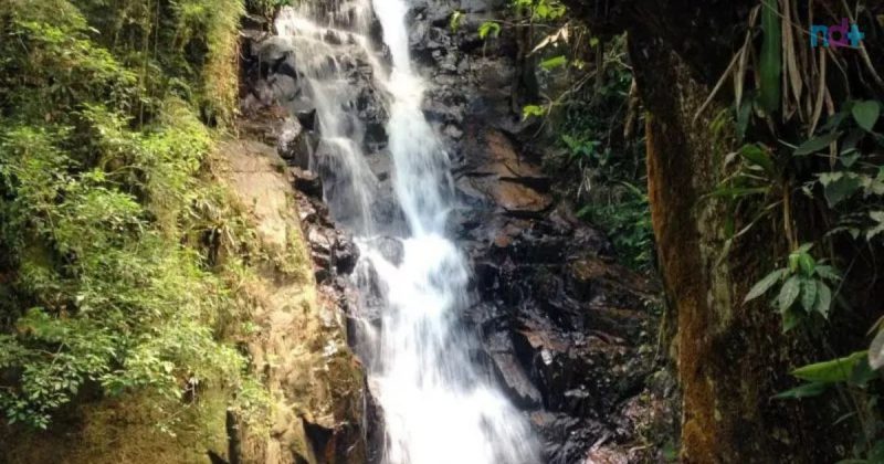 imagem de uma das cachoeiras de Camboriú, ótimo refúgio da sensação térmica de 50°C