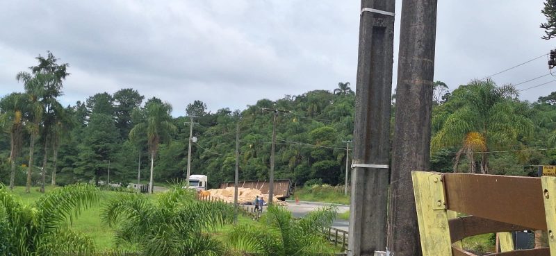 Carga de madeira tomba e causa interdição na SC-418 em Joinville