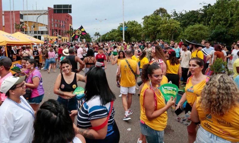 Bloquinhos no domingo de Carnaval de Joinville