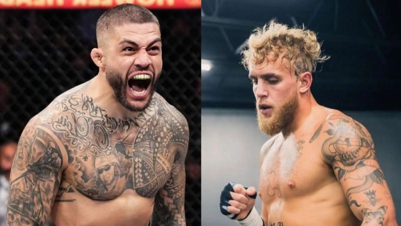 Do lado esquerdo, Tyson Pedro, do lado direito, Jake Paul