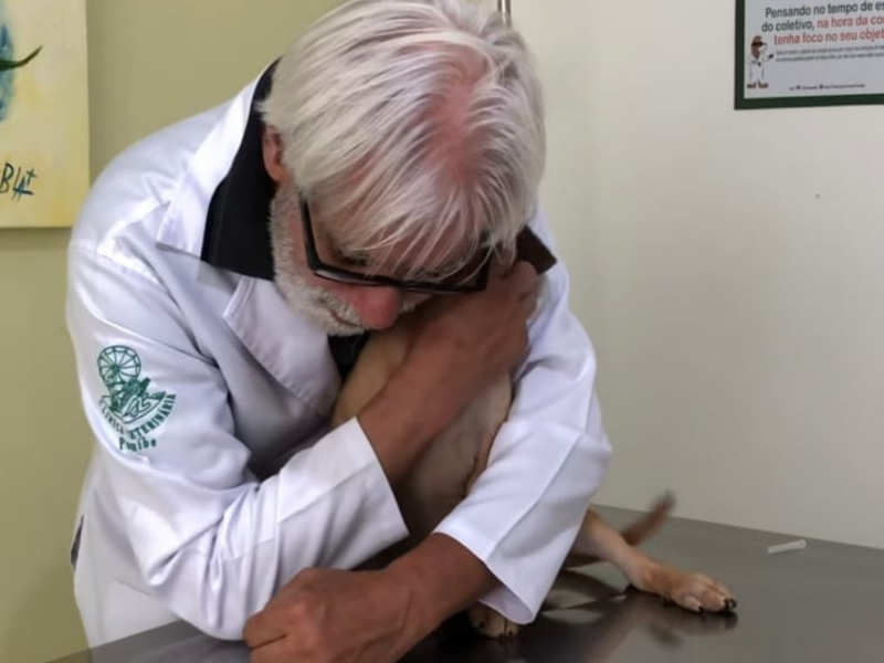 Veterinário que viralizou com caninho com pets 