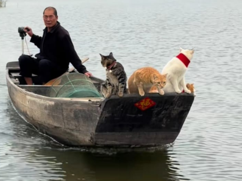 A imagem mostra o "pescador gateiro" e seus pets