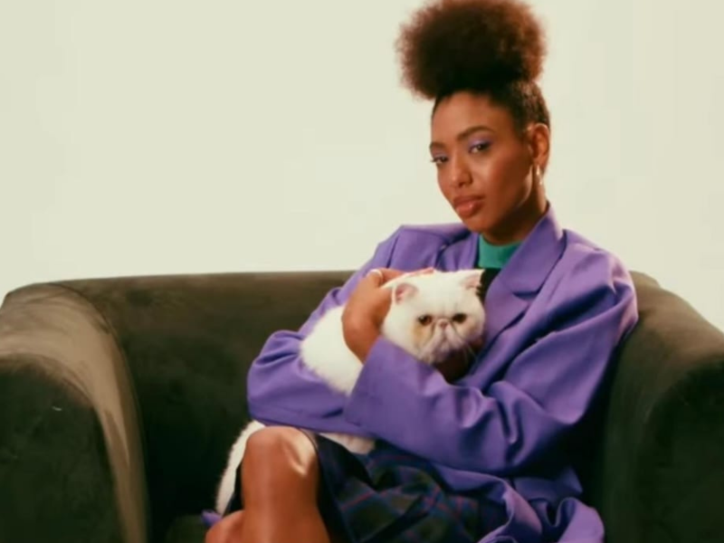 Foto da campanha de pelos de gato nas roupas A imagem mostra uma foto da campanha de pelos de gato nas roupas