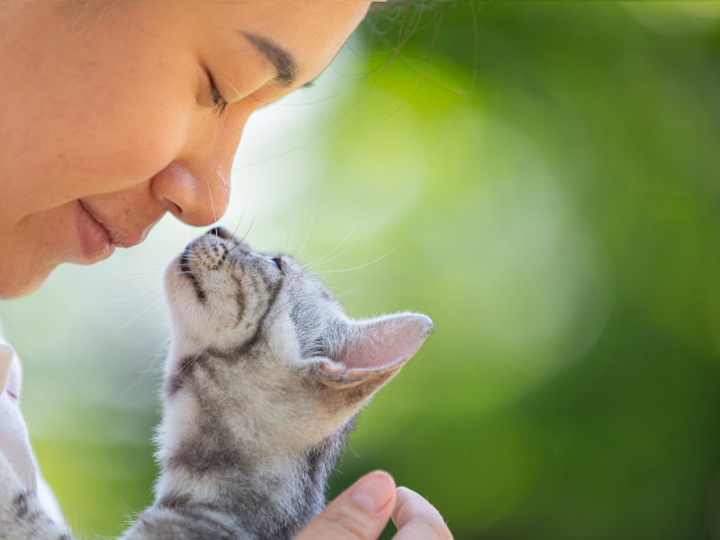 A imagem mostra um gato cheirando rosto de tutora 