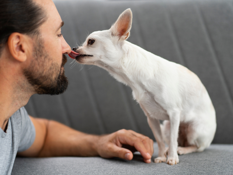 A imagem mostra um homem recebendo lambidas de cachorro