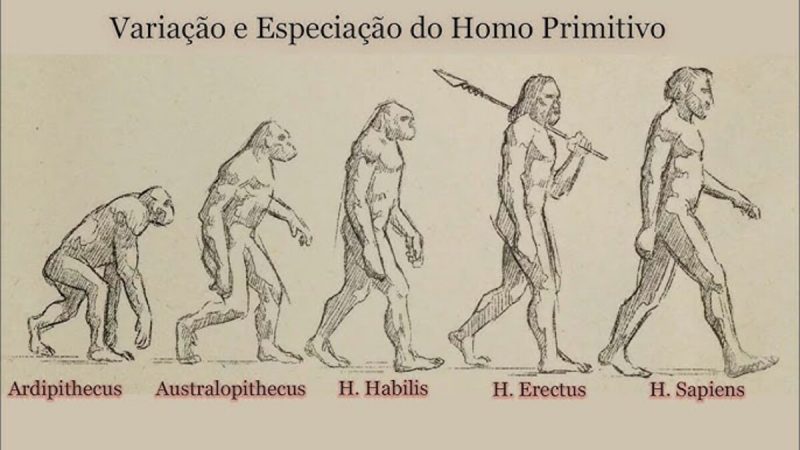 homo sapiens