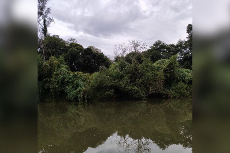 O idoso desapareceu e foi localizado nas águas do Rio Chapecó 