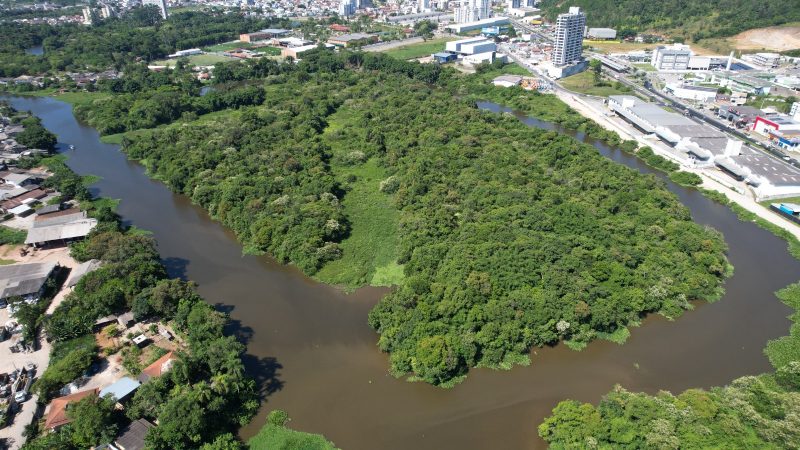 Imagem mostra Ilha das Capivaras vista de cima