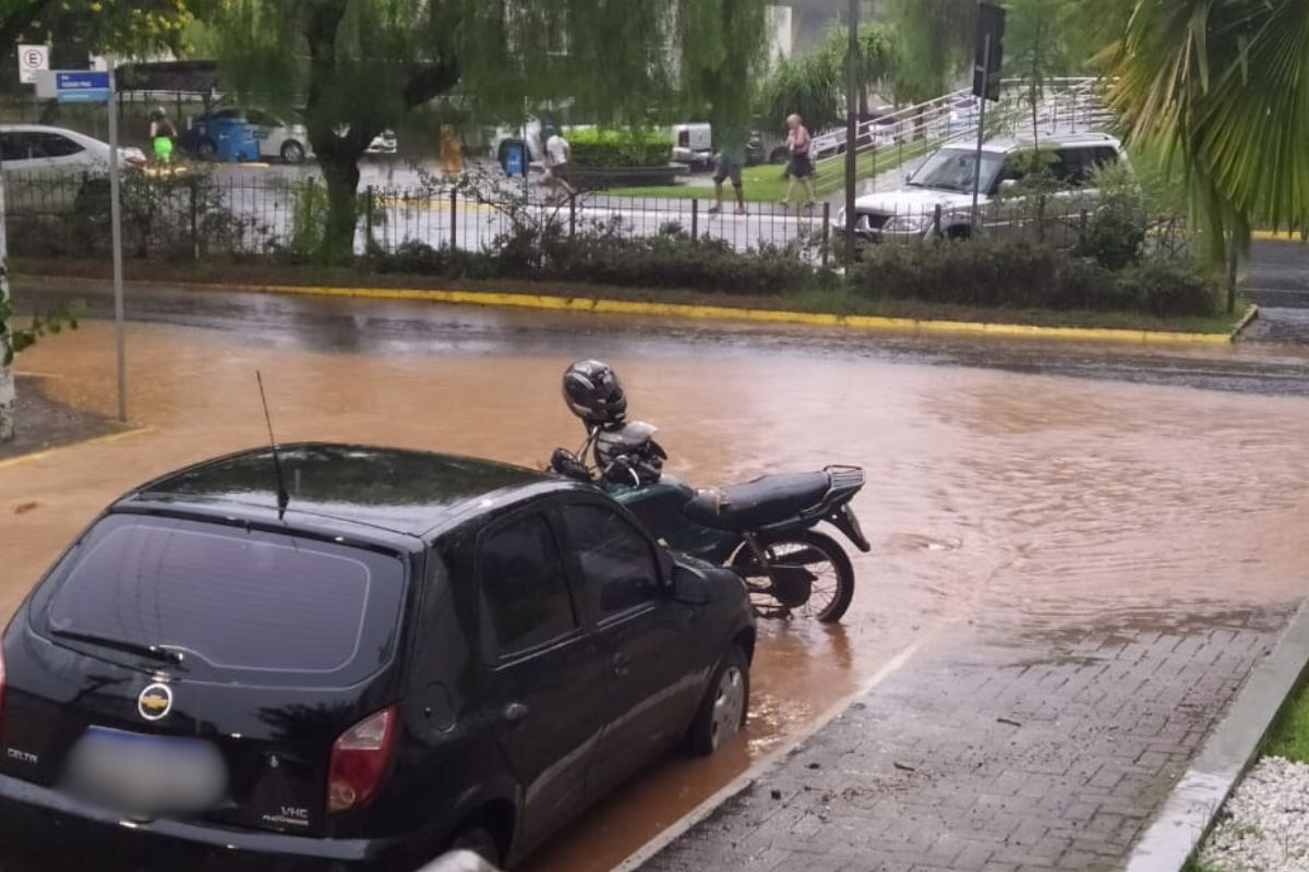 Temporal causa alagamentos e quedas de árvores em Videira - Divulgação/Internet/ND