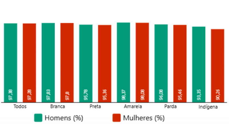 Infográfico taxa de alfabetização por sexo e cor ou raça em Santa Catarina