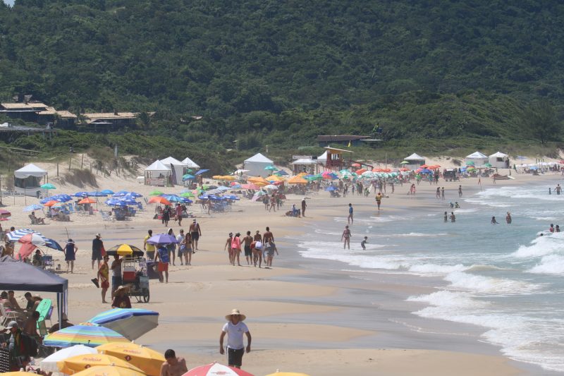 Vista aérea da Praia do Rosa. No centro da foto, uma extensa e larga faixa de areia bege com dezenas de pessoas caminhando e dezenas de guarda-sóis coloridos. No canto direito, aprece um pouco do mar de águas claras com ondas, onde estão algumas pessoas. Cercando a areia e no horizonte uma extensão área de vegetação. 