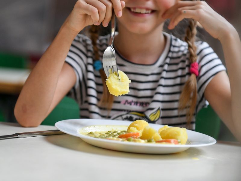 Merenda escolar em Blumenau