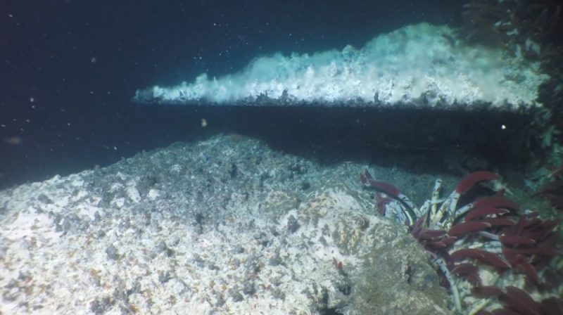 Uma flange hidrotermal de descarga, semelhantes aos vulcões de lama