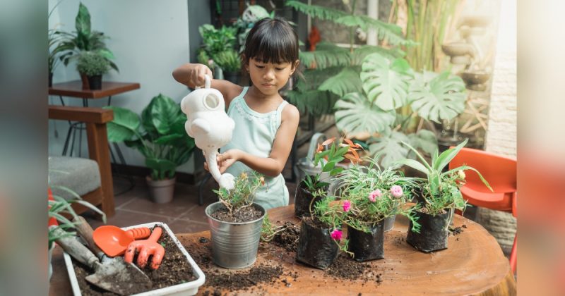 Menina cuidando de plantas