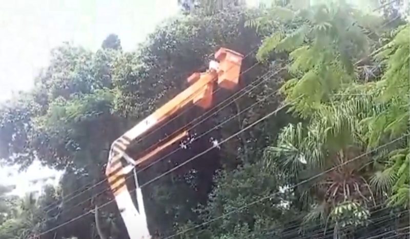 Poda preventiva de árvores busca evitar novos apagões em Florianópolis