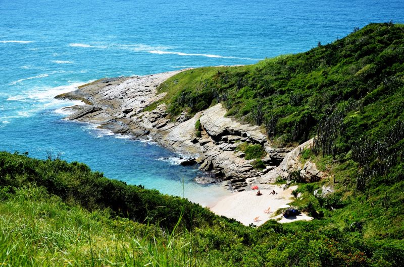 Praia em meio a vegetação com águas cristalinas 