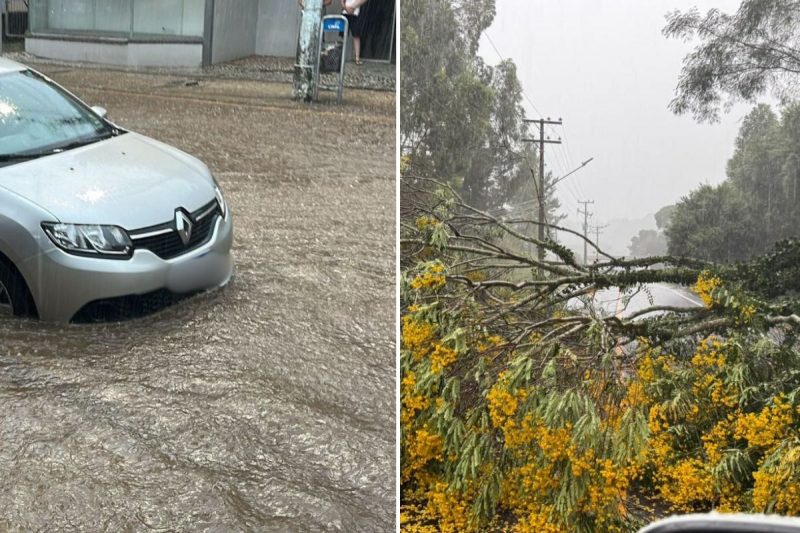 Temporal causa alagamentos e quedas de árvores em Videira