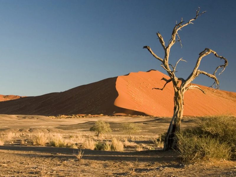 Terra viveria em calor extremo com temperaturas acima dos 50°C