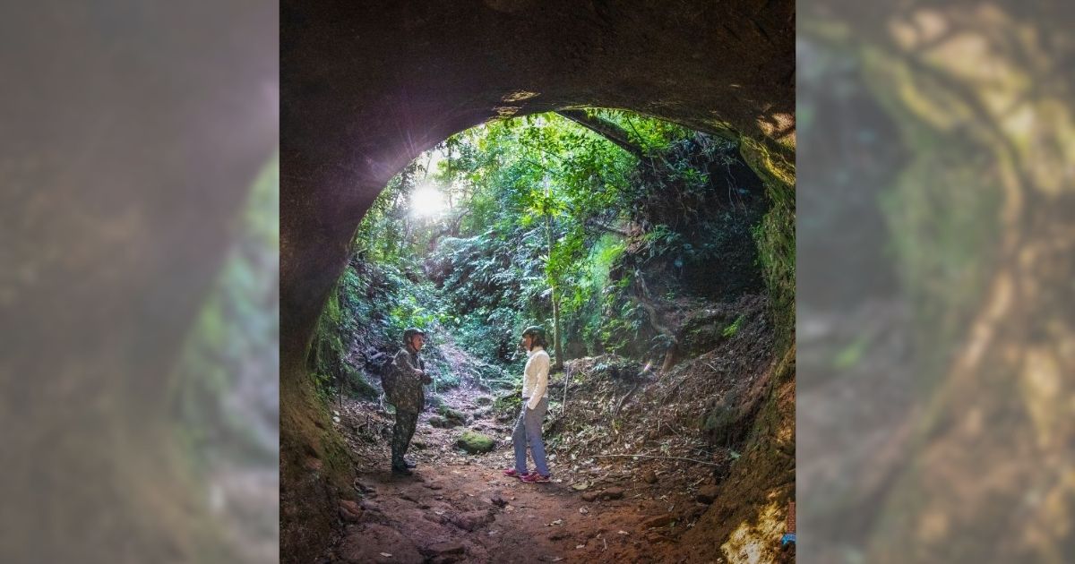 Trilhas fazem parte do ecoturismo - Divulgação/Assessoria de Comunicação da Prefeitura de Timbé do Sul/ND