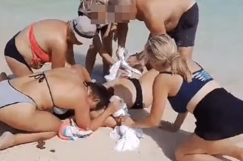 Turista teve mãos arrancadas por tubarão 