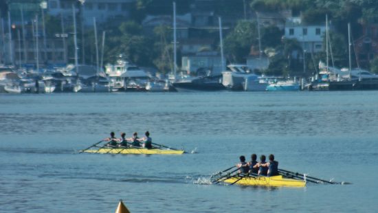 Calendário do remo em SC tem quatro etapas confirmadas em 2026