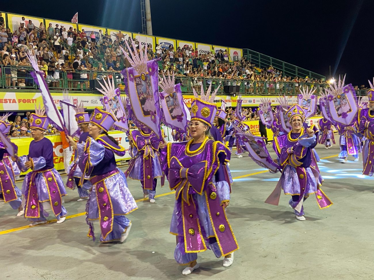 Ala da Jardim das Palmeiras no Carnaval de Florianópolis fez homenagens a nomes da cultura de matriz africana - Gabriela Ferrarez/ND