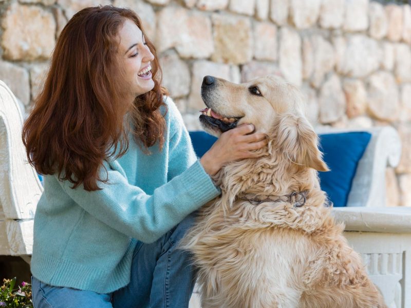 Turora e cachorro e pet, representando como os cachorros entendem a linguagem humana