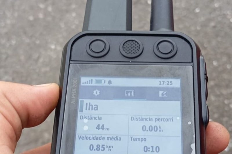 Com o GPS na coleira, conseguimos acompanhar em tempo real sua localização