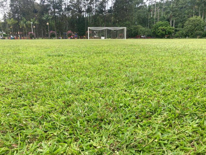 BEC deve usar o campo do Parque Prefeito Carlos Curt Zadrozny – Foto: Emerson Luis/NDTV Record