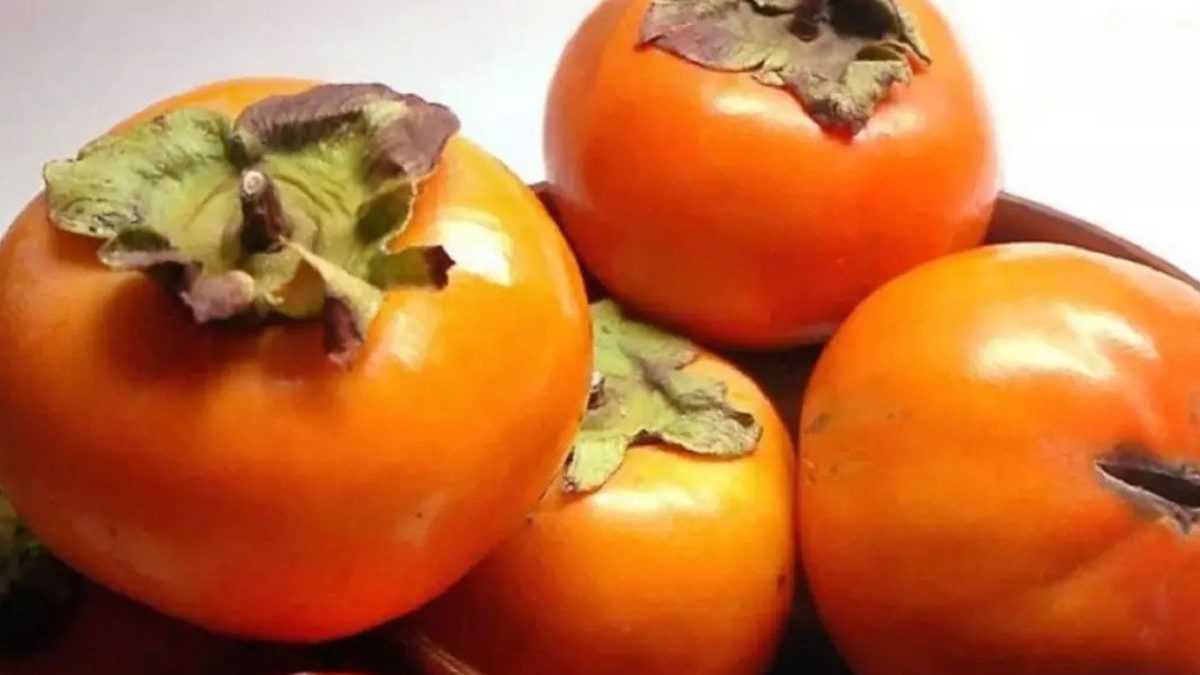 Fruto que ‘amarra a boca’ e é conhecido como ‘alimento dos deuses’ chegou em SC há um