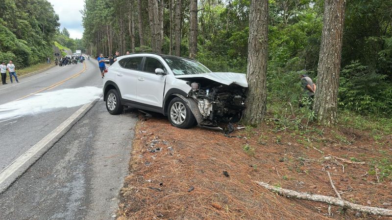 Outro carro bateu contra &aacute;rvore – Foto: CBMSC/Divulga&ccedil;&atilde;o/ND