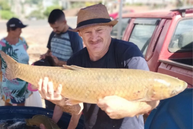 venda de peixes em Chapecó