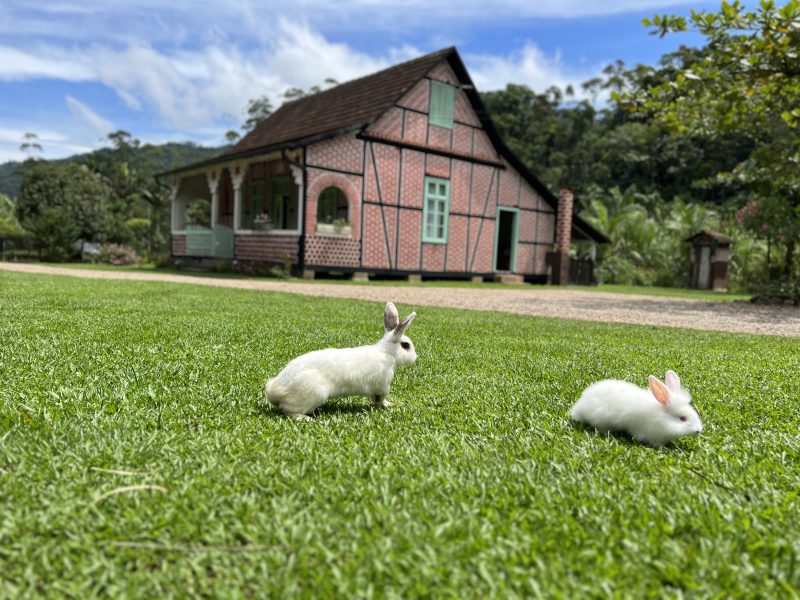 Casa histórica presente na Rota do Enxaimel em Pomerode 