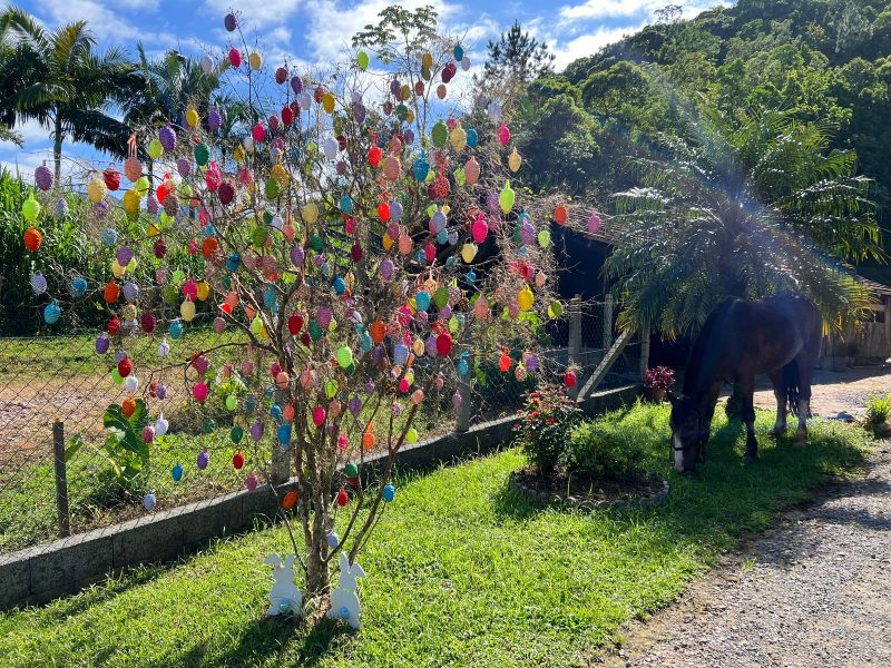 Árvore de Páscoa decorada com ovos coloridos em Pomerode 