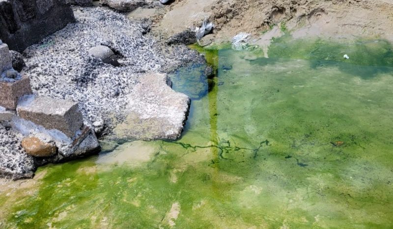 Areia é atingida por esgoto na praia da Joaquina