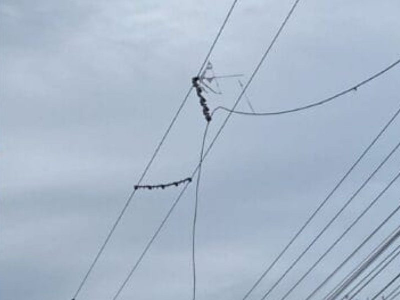 A imagem mostra o local onde a criança sofre choque elétrico com pipa enroscada em fiação