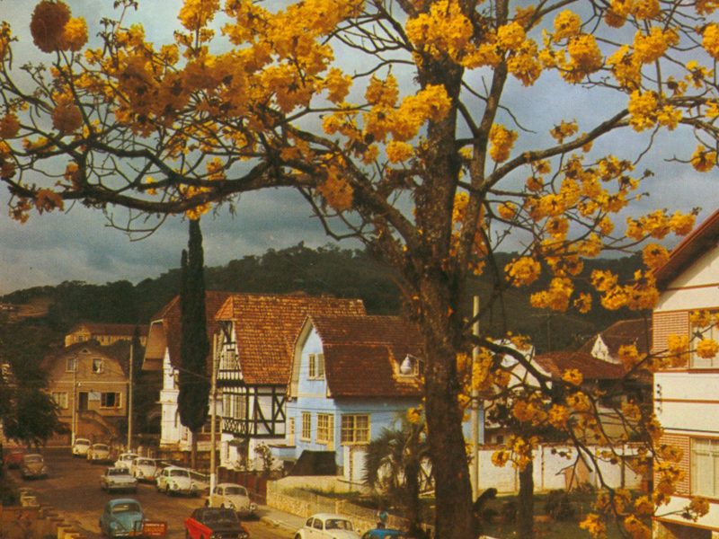 A imagem mostra o outono em Blumenau entre os anos 60 e 70